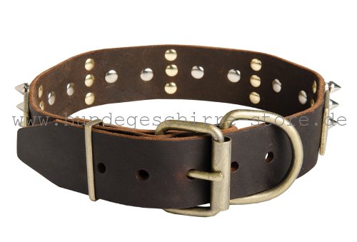 Leder Halsband, stilvoll